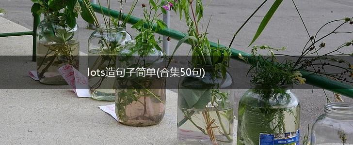 lots造句子简单(合集50句),第1张