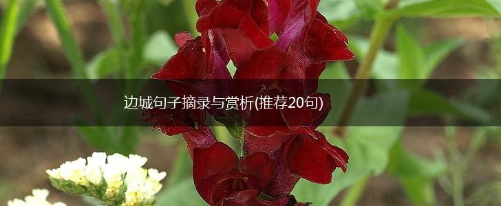 边城句子摘录与赏析(推荐20句),第1张