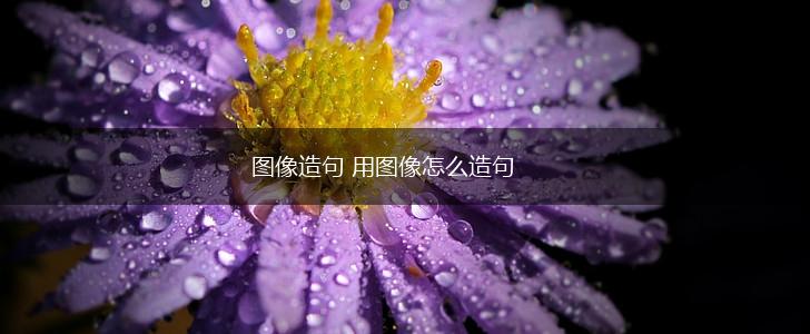 图像造句 用图像怎么造句,第1张