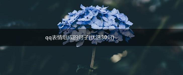 qq表情组成的句子(优选30句),第1张