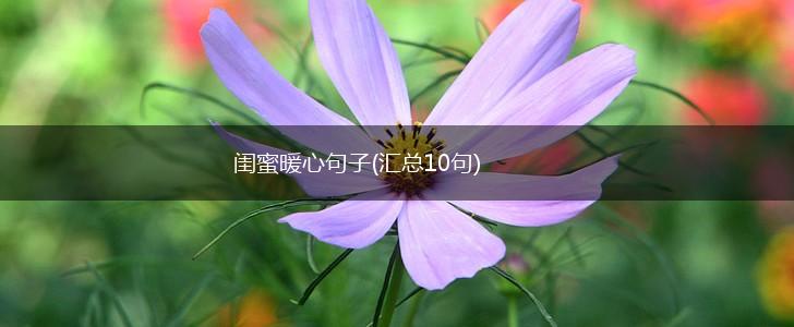 闺蜜暖心句子(汇总10句),第1张