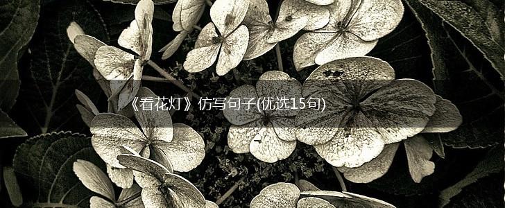 《看花灯》仿写句子(优选15句),第1张