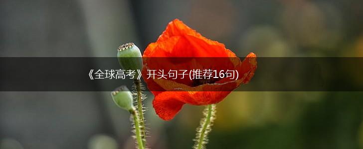 《全球高考》开头句子(推荐16句),第1张