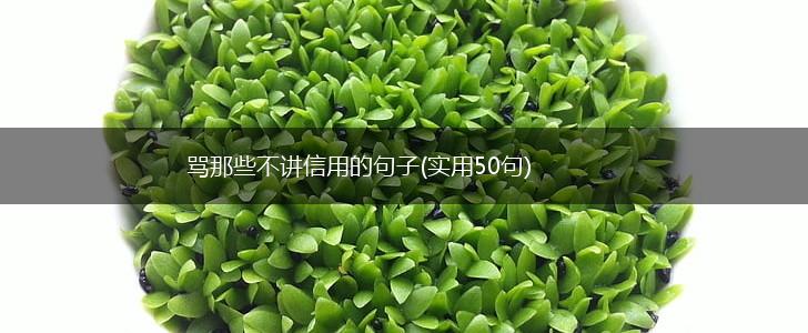 骂那些不讲信用的句子(实用50句),第1张