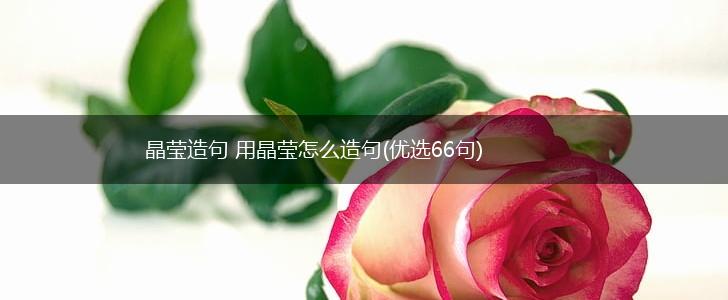 晶莹造句 用晶莹怎么造句(优选66句),第1张