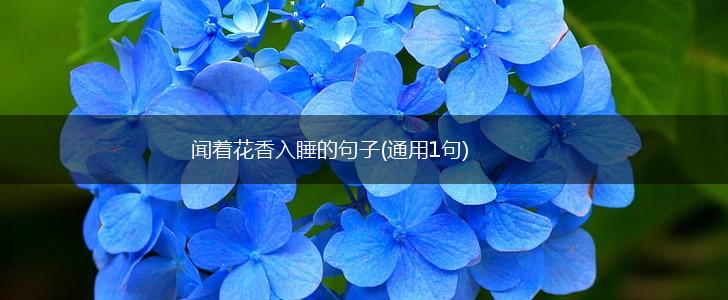 闻着花香入睡的句子(通用1句),第1张