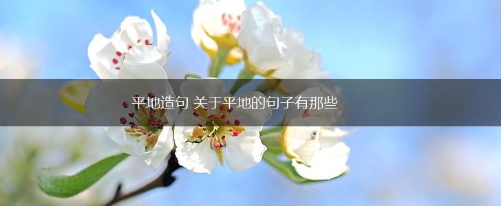 平地造句 关于平地的句子有那些,第1张