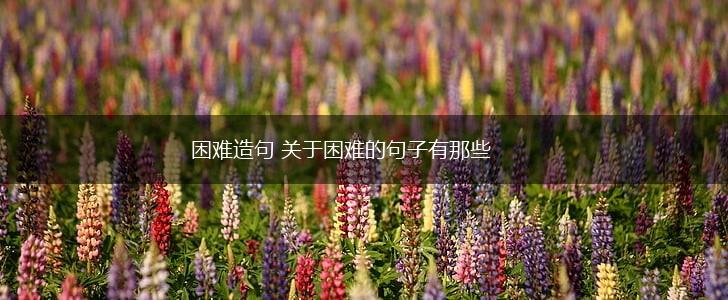 困难造句 关于困难的句子有那些,第1张