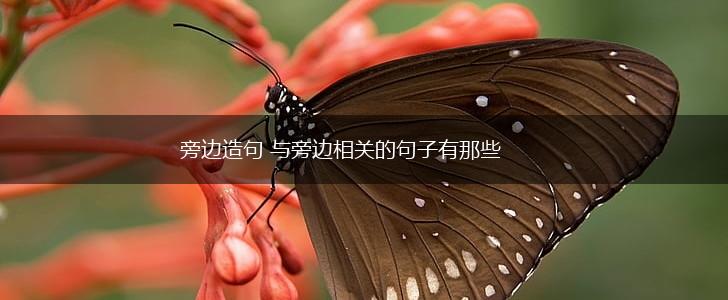 旁边造句 与旁边相关的句子有那些,第1张