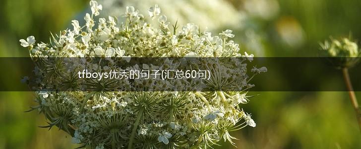 tfboys优秀的句子(汇总60句),第1张