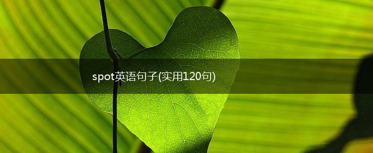 spot英语句子(实用120句),第1张