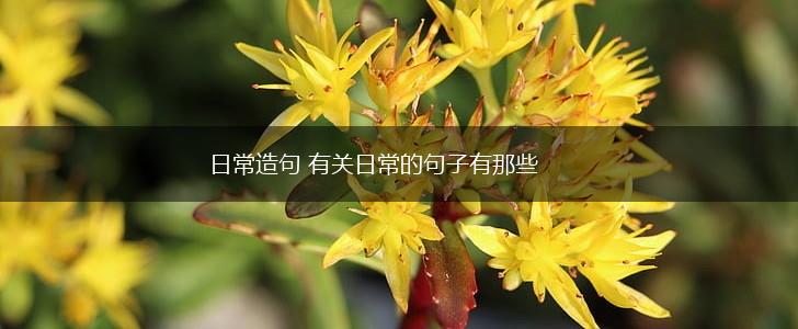 日常造句 有关日常的句子有那些,第1张