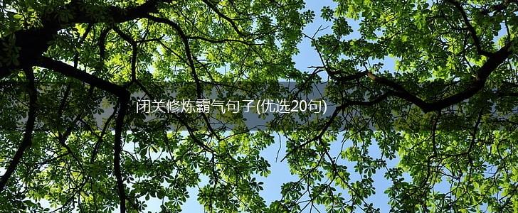 闭关修炼霸气句子(优选20句),第1张