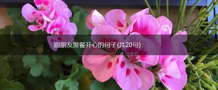 跟朋友聚餐开心的句子(共20句),第1张