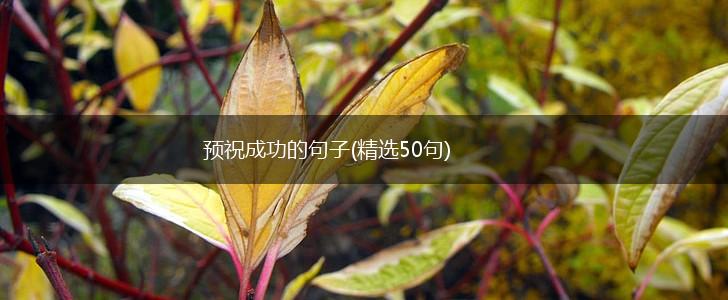 预祝成功的句子(精选50句),第1张