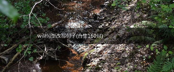will句型改写句子(合集160句),第1张