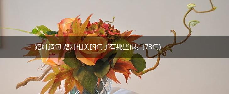 路灯造句 路灯相关的句子有那些(热门73句),第1张