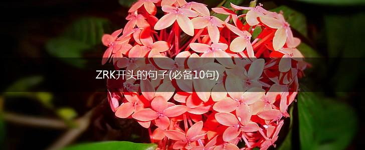 ZRK开头的句子(必备10句),第1张
