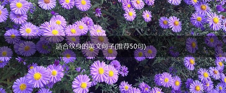 适合纹身的英文句子(推荐50句),第1张