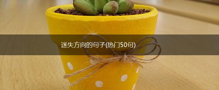 迷失方向的句子(热门50句),第1张