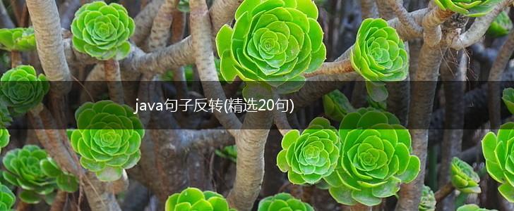 java句子反转(精选20句),第1张