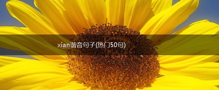 xian谐音句子(热门50句),第1张