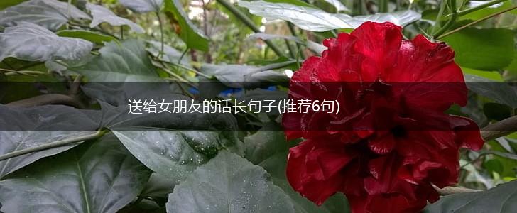 送给女朋友的话长句子(推荐6句),第1张