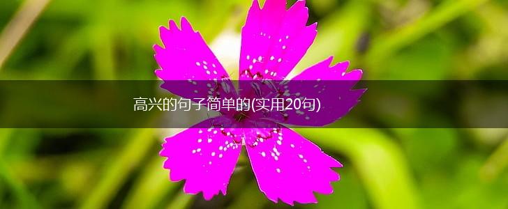 高兴的句子简单的(实用20句),第1张