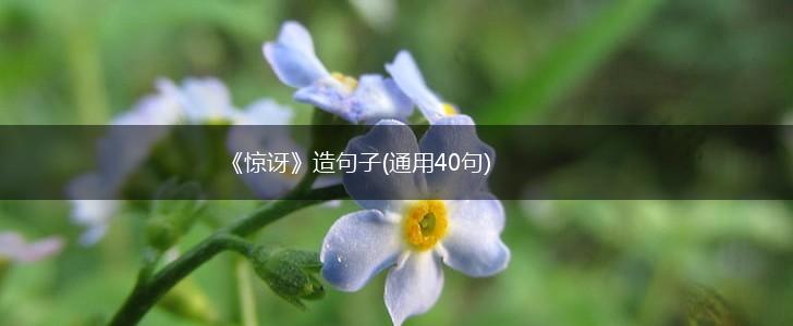 《惊讶》造句子(通用40句),第1张