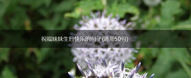 祝福妹妹生日快乐的句子(通用50句),第1张