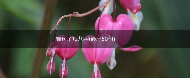 骚句子短八字(通用50句),第1张