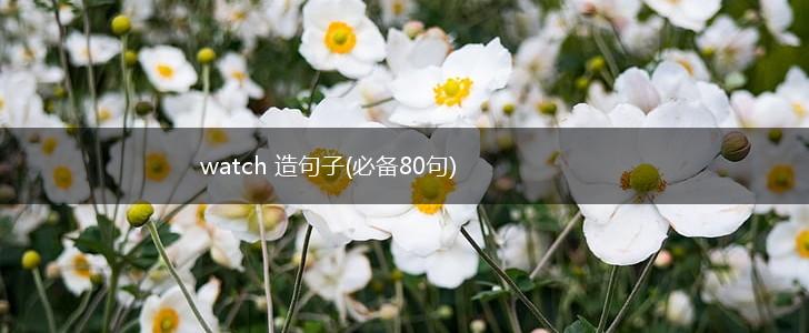 watch 造句子(必备80句),第1张