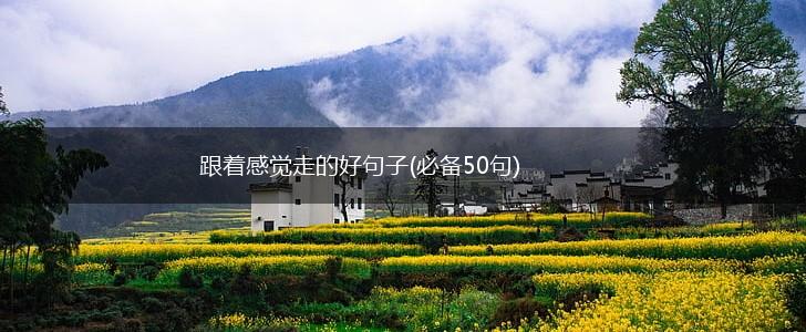 跟着感觉走的好句子(必备50句),第1张
