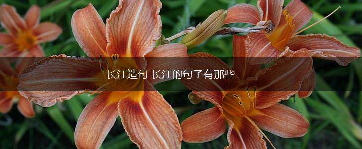 长江造句 长江的句子有那些,第1张