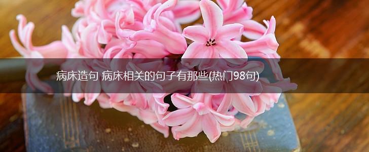 病床造句 病床相关的句子有那些(热门98句),第1张