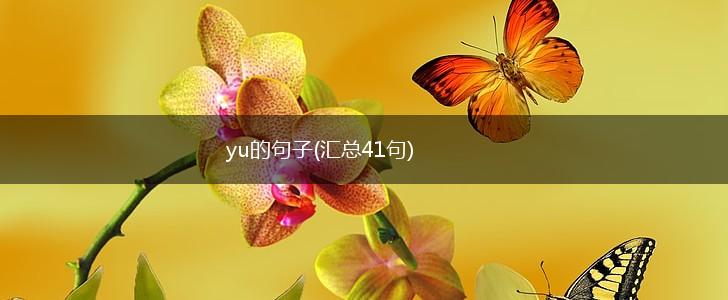 yu的句子(汇总41句),第1张