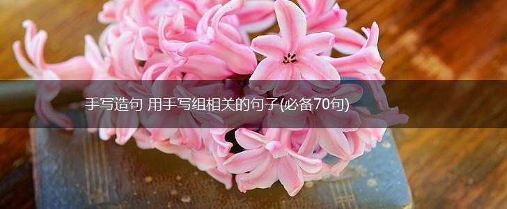 手写造句 用手写组相关的句子(必备70句),第1张