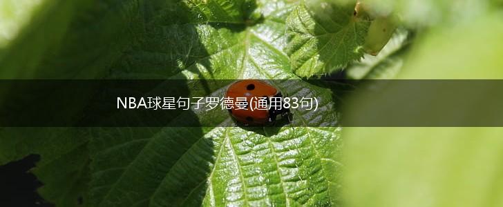 NBA球星句子罗德曼(通用83句),第1张