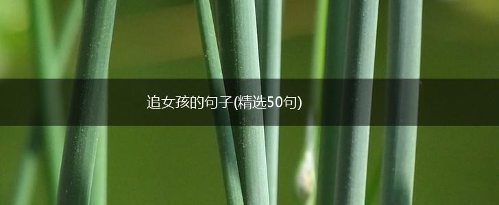 追女孩的句子(精选50句),第1张