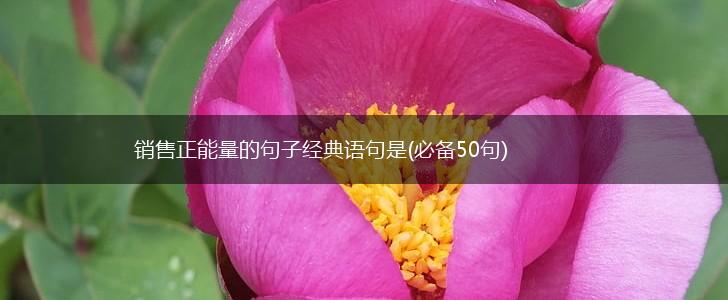 销售正能量的句子经典语句是(必备50句),第1张