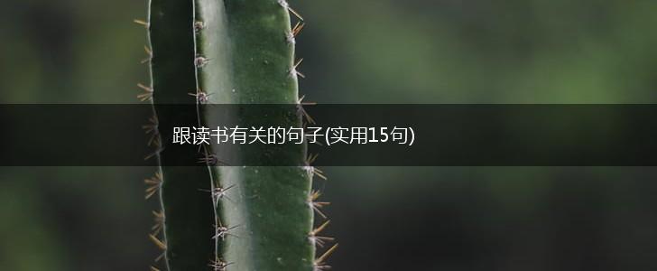 跟读书有关的句子(实用15句),第1张