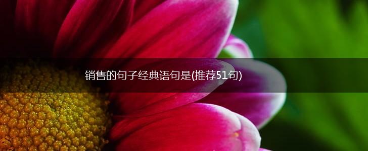 销售的句子经典语句是(推荐51句),第1张