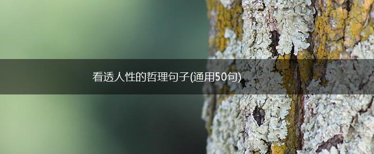看透人性的哲理句子(通用50句),第1张