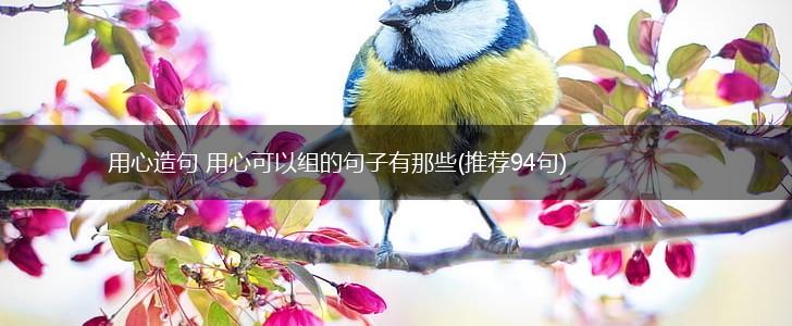 用心造句 用心可以组的句子有那些(推荐94句),第1张