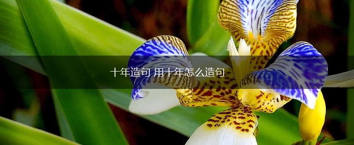 十年造句 用十年怎么造句,第1张
