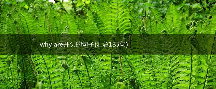 why are开头的句子(汇总135句),第1张