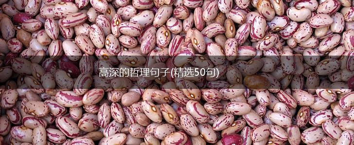 高深的哲理句子(精选50句),第1张