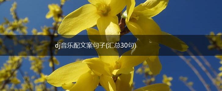 dj音乐配文案句子(汇总30句),第1张