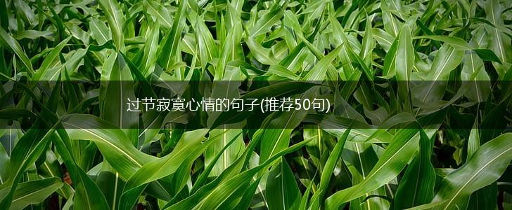 过节寂寞心情的句子(推荐50句),第1张