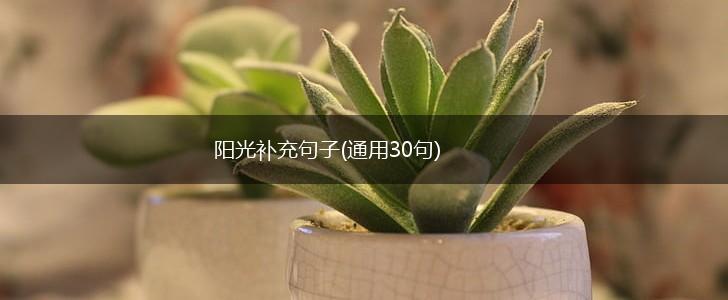 阳光补充句子(通用30句),第1张